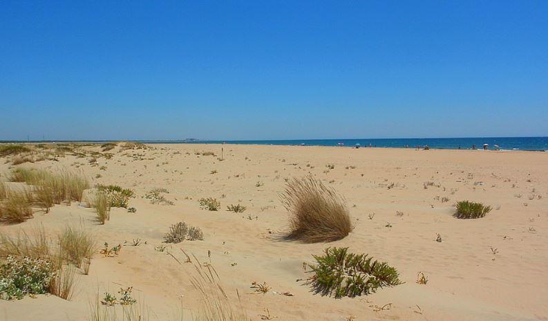 Playa De Nueva Umbria