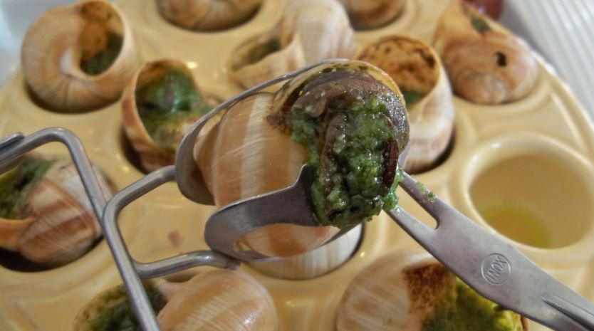 escargots de Bourgogne comida tradicional francesa